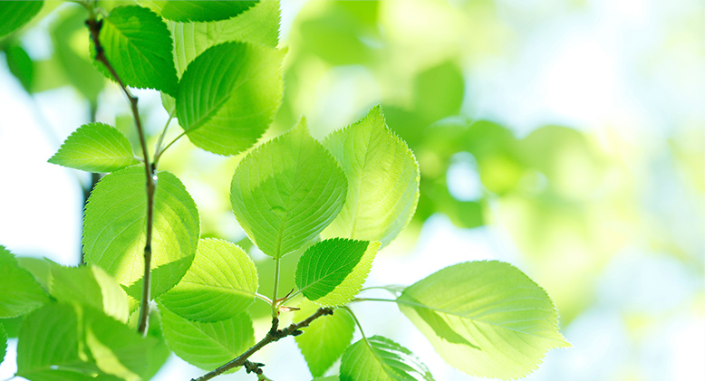 受給までの流れ